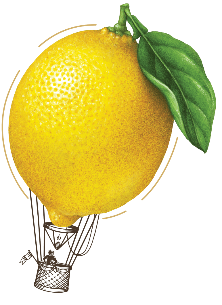 lemon air balloon