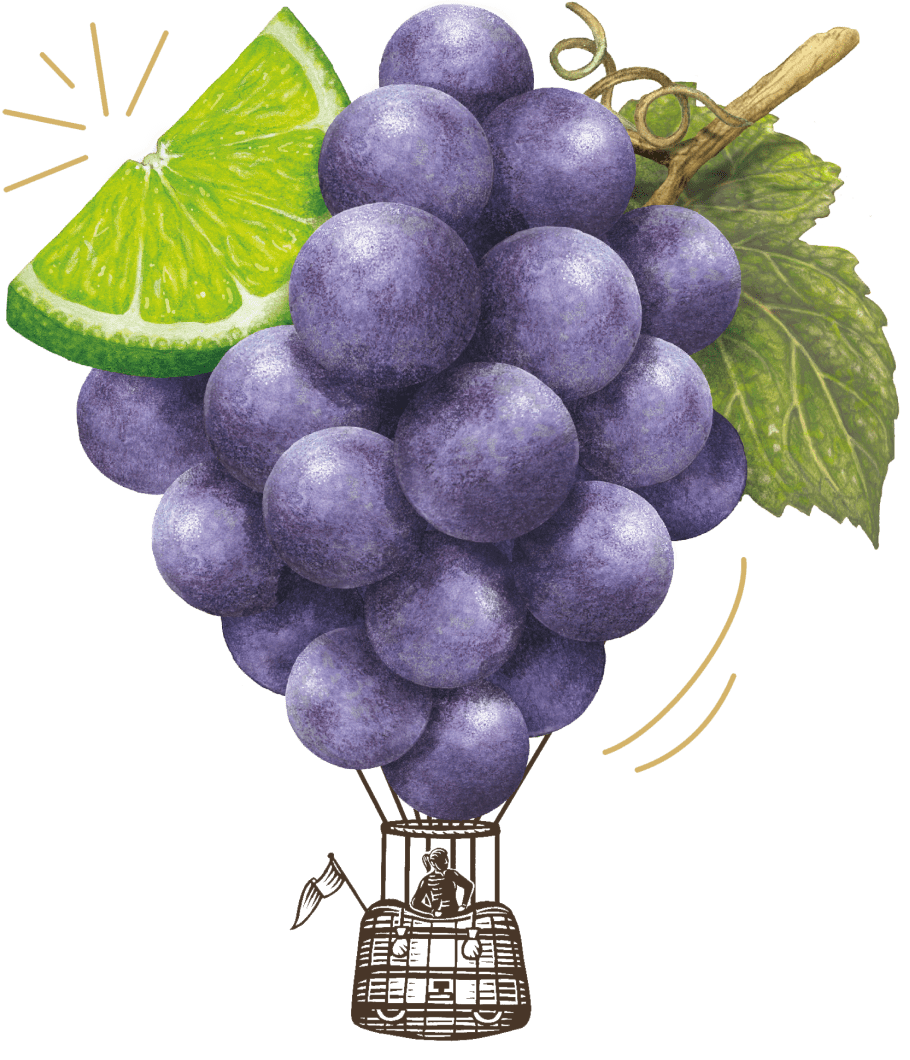 grape air balloon
