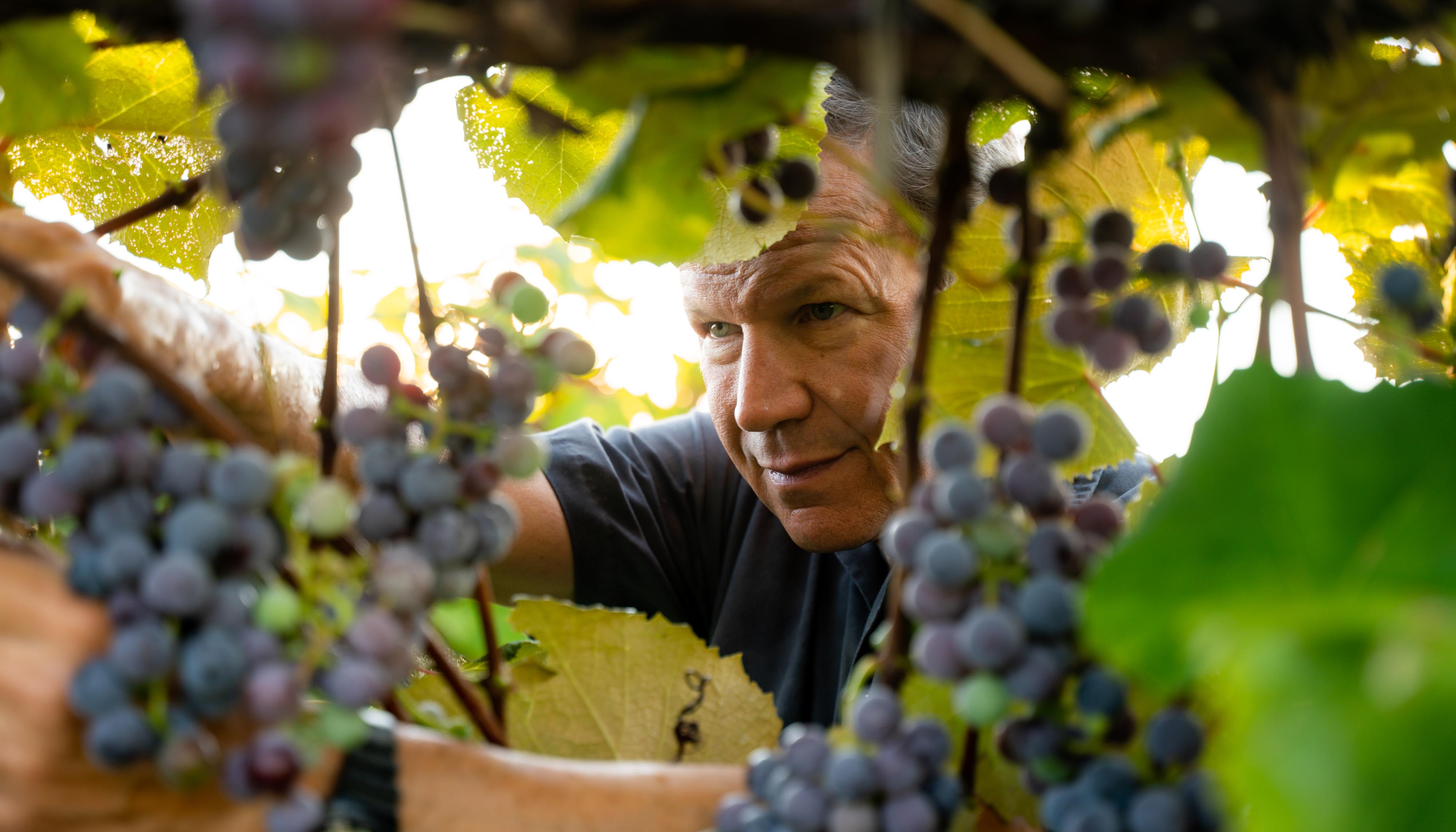 Winemaking by nurturing rather than interfering.