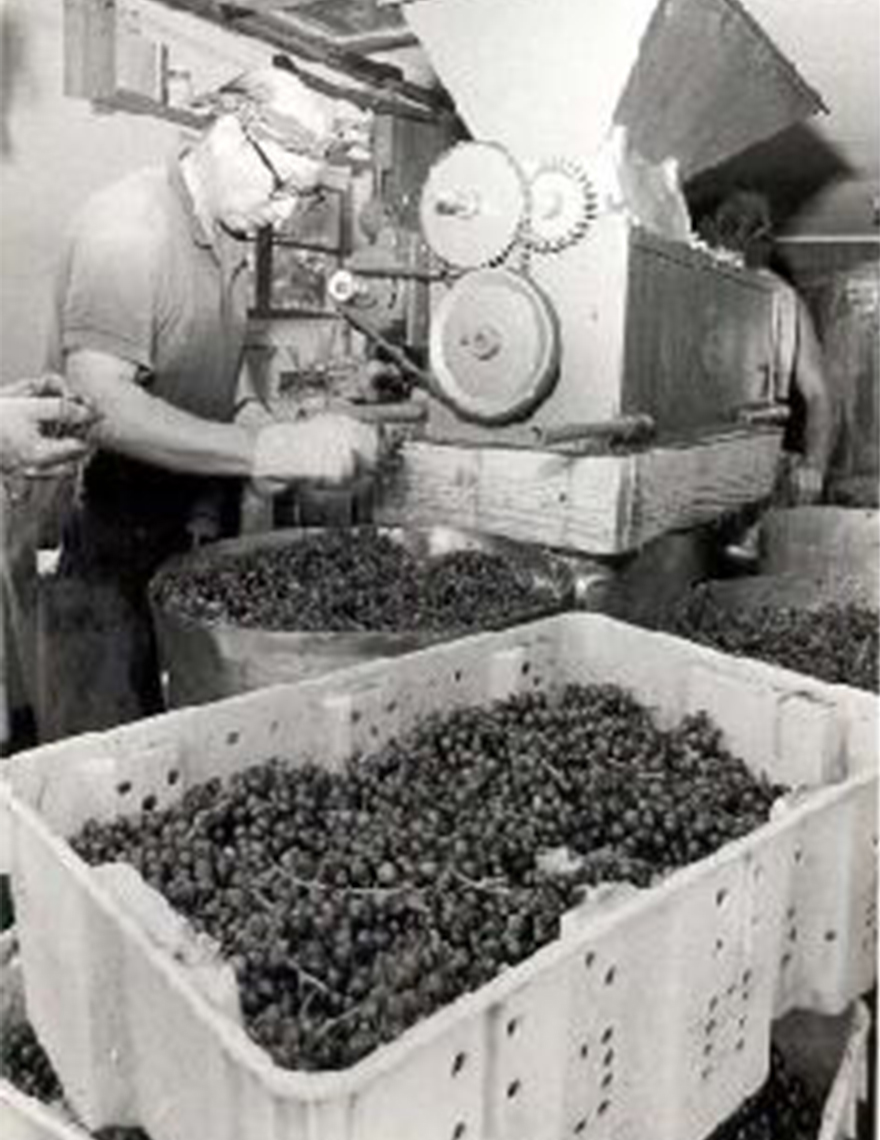 Pioneering winemakers in Indiana.