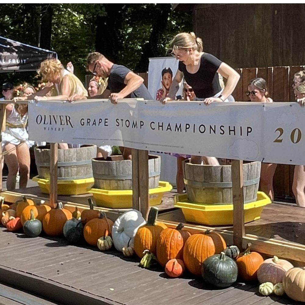 Guests stomp grapes in wooden barrels on a sunny deck at the Oliver Winery Grape Stomp Championship, with a row of pumpkins and gourds lining the stage.