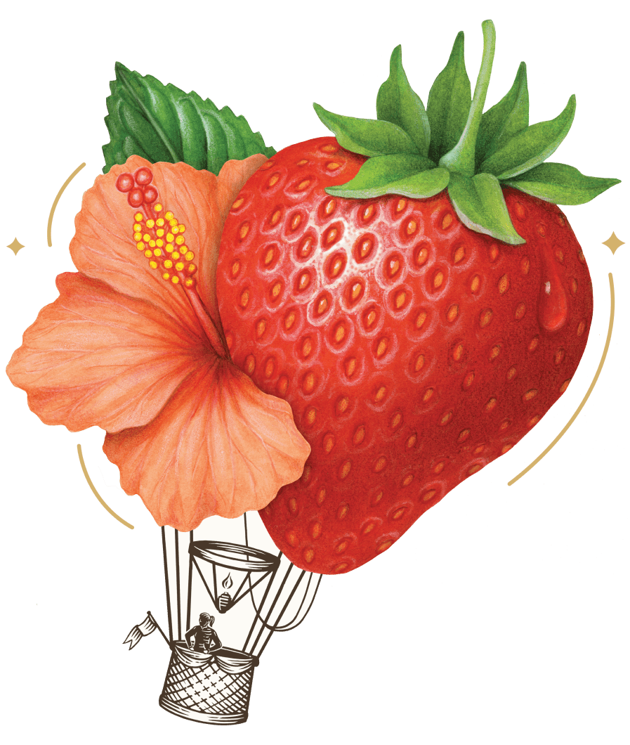 strawberry hibiscus air balloon