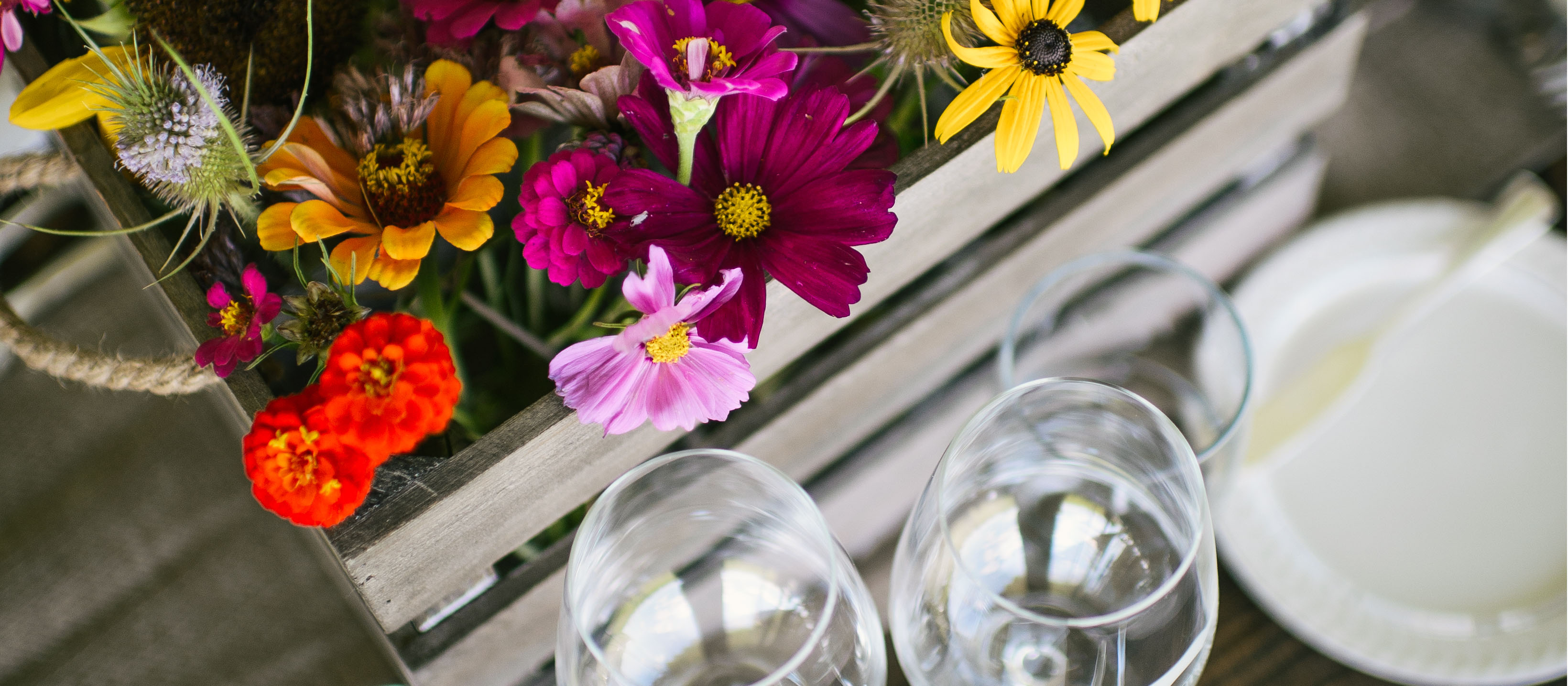 Oliver wines with flowers on the patio.
