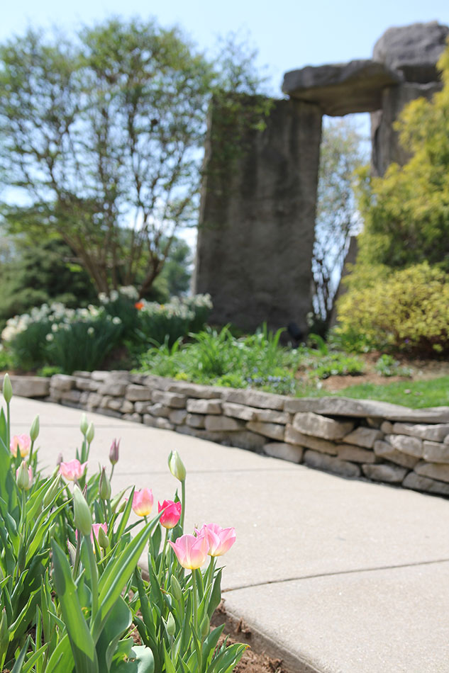 Oliver Winery gardens in the spring with tulips and daffodils in bloom