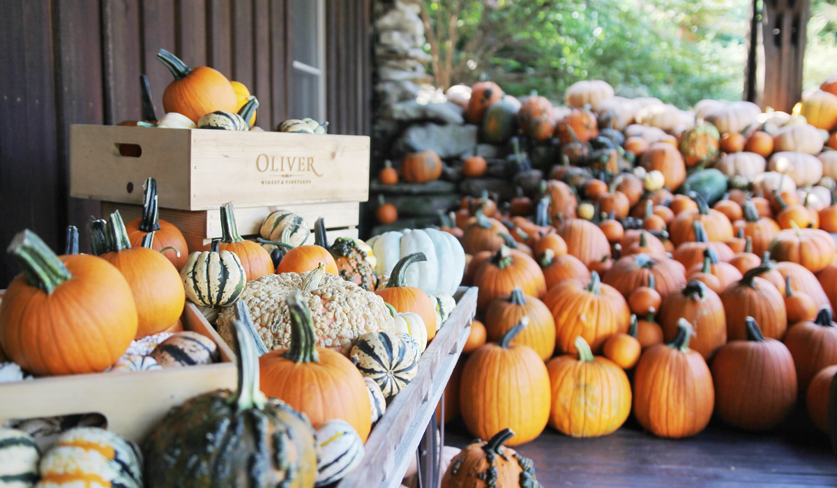 Oliver Winery reserved guided flights include up to 6 wines and small bites