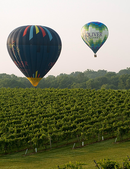 Our balloons and Indiana vineyard