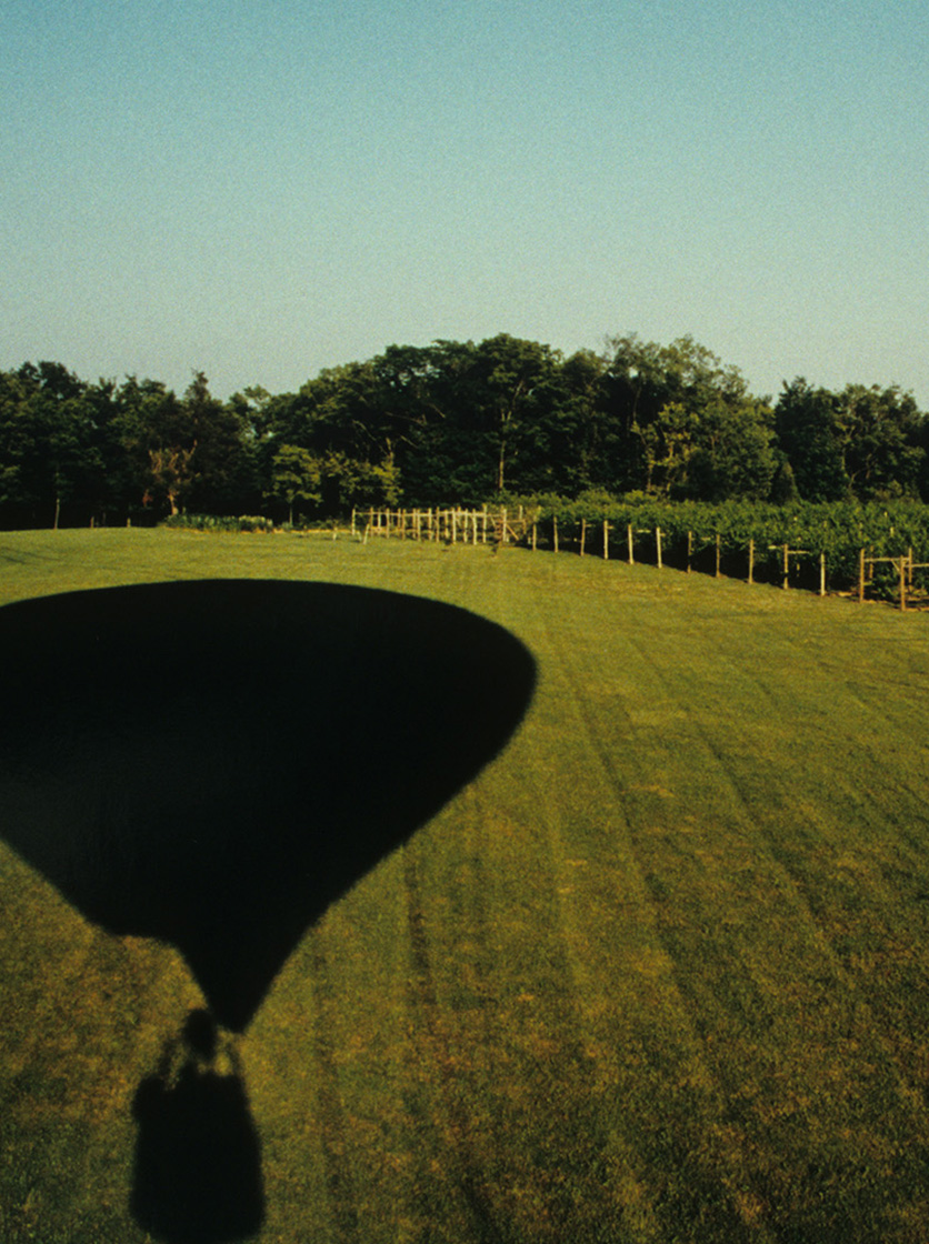 Oliver Winery balloon shadow over Creekbend Vineyard in Bloomington, Indiana. 