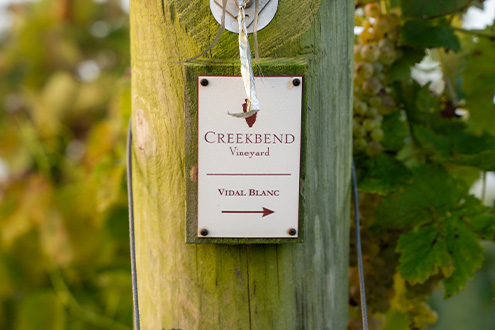 Vidal Blanc end post at Creekbend Vineyard.
