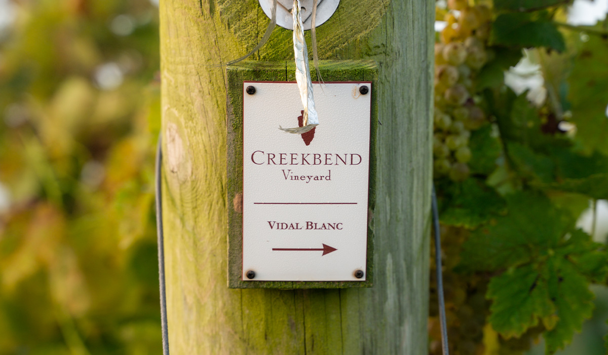 Vidal Blanc end post at Creekbend Vineyard.