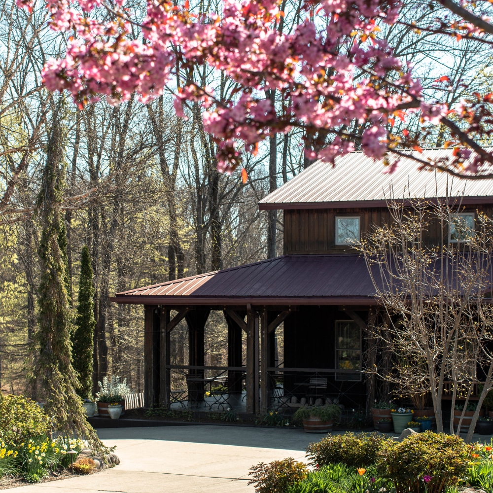 The Oliver Winery tasting room exterior in spring, framed by pink blossoms and daffodils.