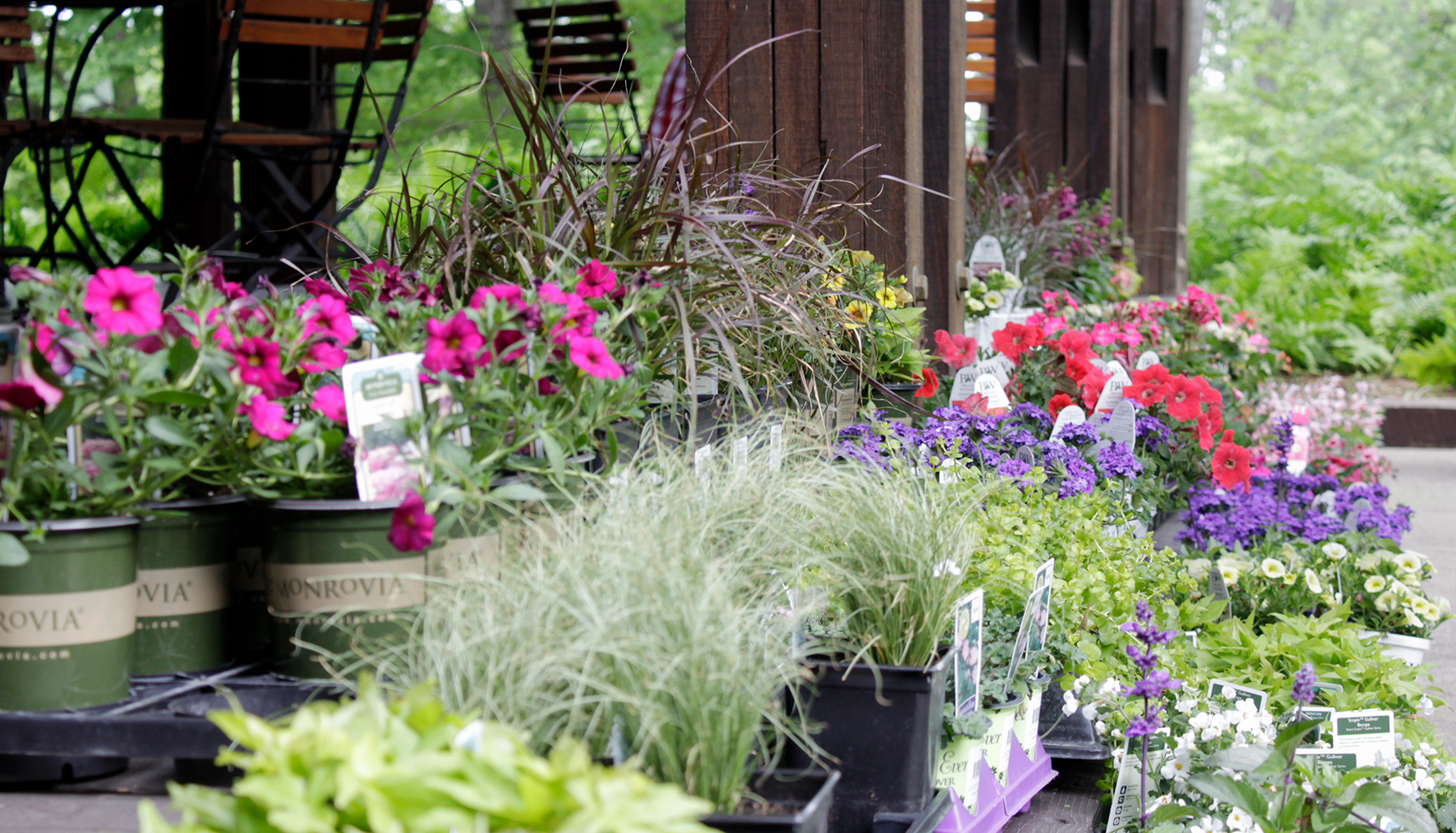 Container garden workshop set-up and supplies on the Oliver Winery patio.