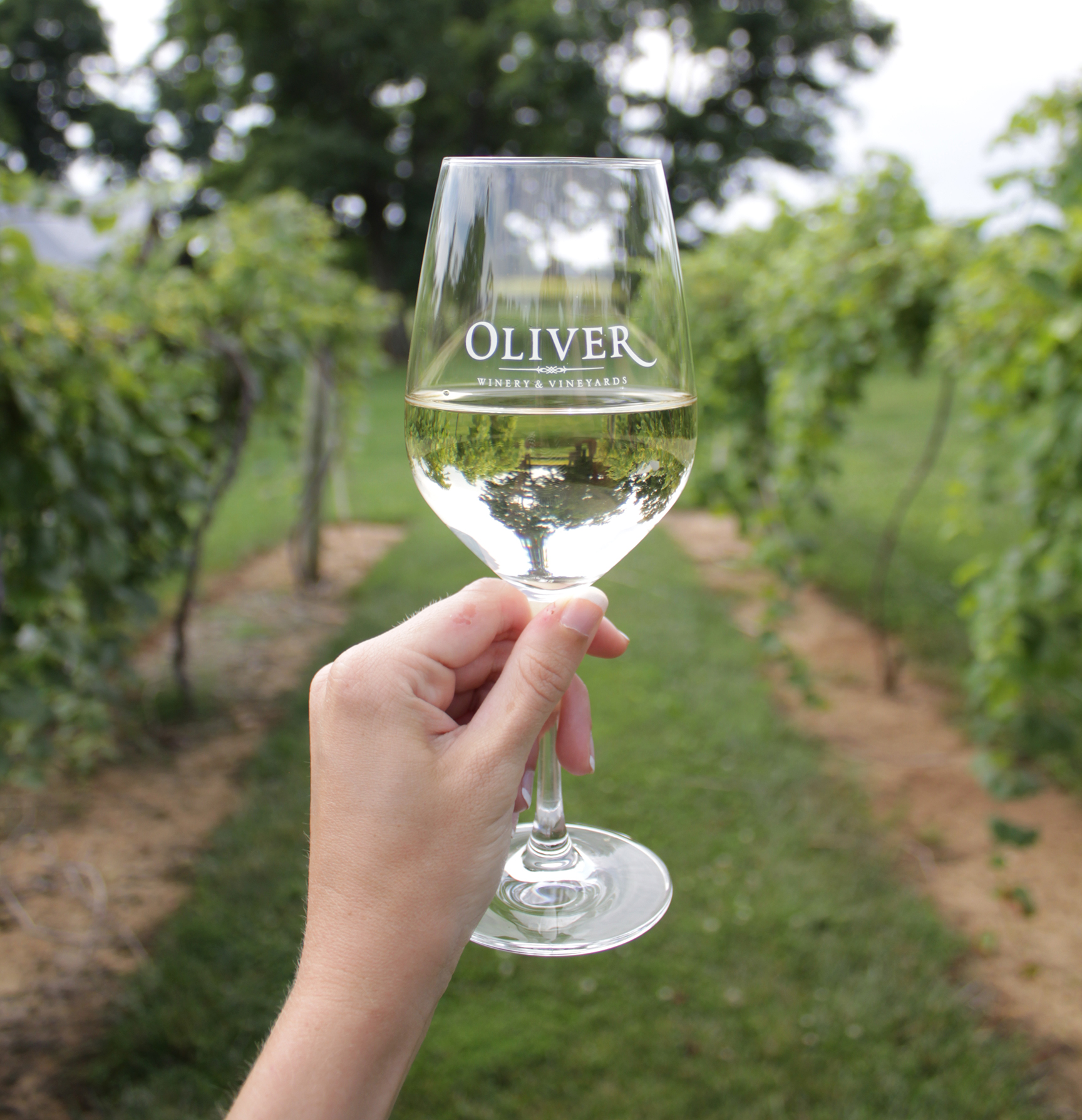 Cork & Fork Summer Live Music Series at Creekbend Vineyard