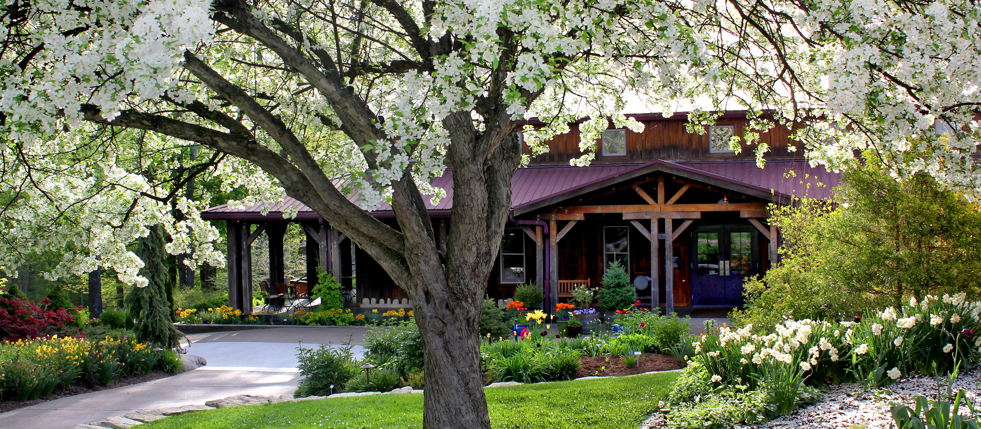 Flowering trees during peak spring bloom at Oliver Winery.